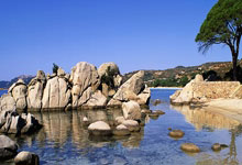 海星赛事-罗马训练开放日，今夜防线松动引欢呼，欧篮联在即，轮换策略成焦点的简单介绍