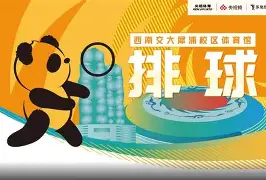 关于排球巡回赛上演强强对话，蓬莱猎隼队绝杀辽东银狐队，多点开花奏效；回归即成焦点的信息